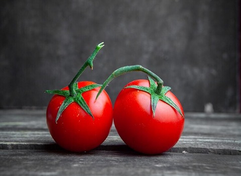 تصویر 2 از قیمت گوجه فرنگی شیراز با کیفیت ارزان + خرید عمده